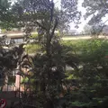 Ghia Mansion